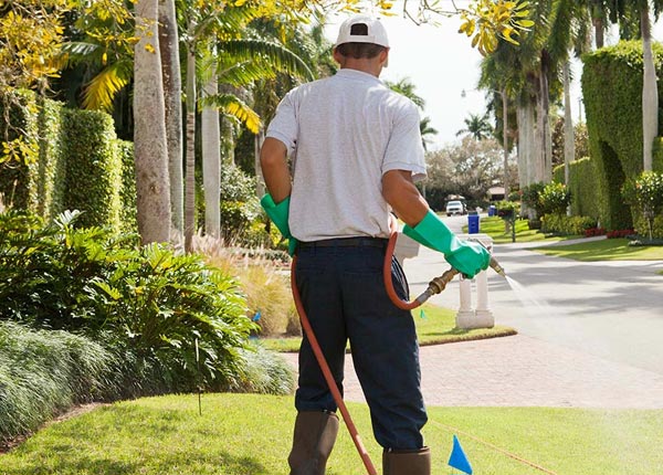 About Van Horn TX Pest Control Pros